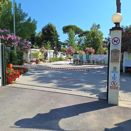 Camping Parco Vacanza Partaccia 2 مارينا دي ماسا المظهر الخارجي الصورة